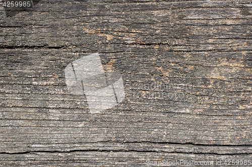 Image of Old aged wood planks, texture with natural pattern