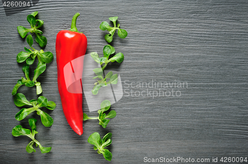 Image of One red Kapia pepper with valeriana salad on a dark shale