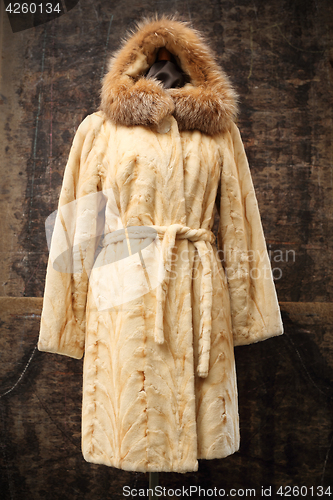 Image of Mink coat.