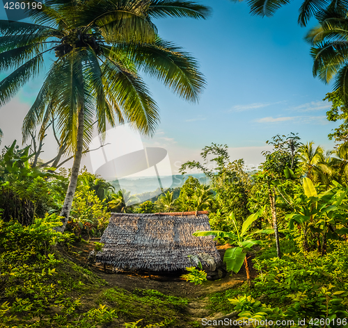 Image of Small house in forest