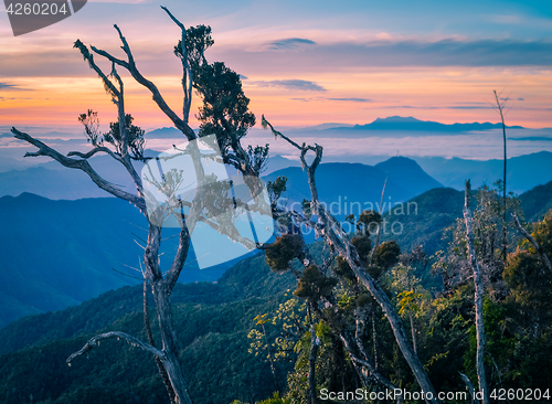 Image of Morning view in Papua