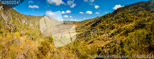 Image of Wilderness in sunlight