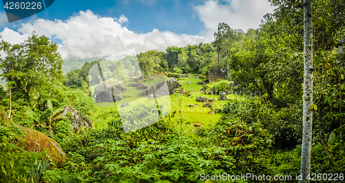 Image of Greenery in Toraja region