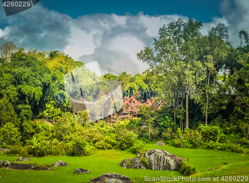 Image of Nature in Toraja region