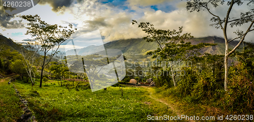 Image of Rich greenery in Wamena