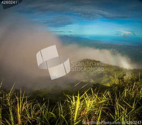 Image of Fog in North Sulawesi