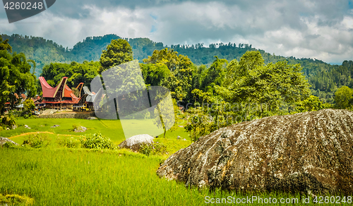 Image of Large rock and greenery