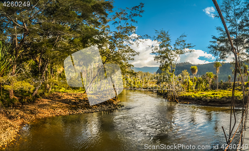 Image of River and bridge