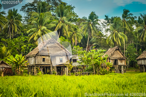 Image of Houses in Palembe