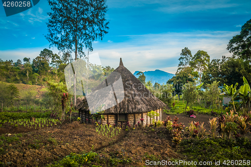 Image of Small house with garden