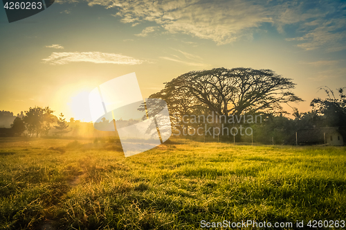 Image of Morning mist in Maprik