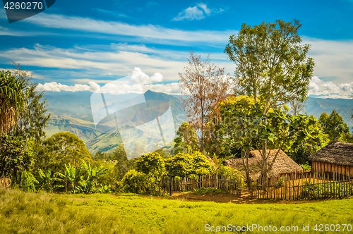 Image of Houses with fence