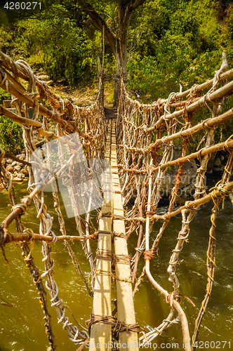 Image of Bamboo bridge in Trikora