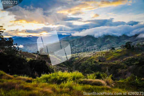 Image of Forests at sunrise