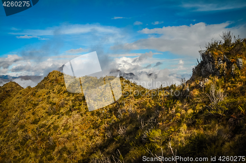 Image of Hike in Trikora