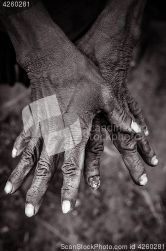 Image of Two hands of woman