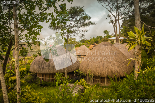 Image of Houses in Wamena