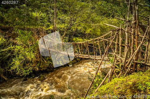 Image of Simple bridge near wamena