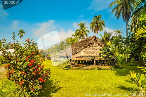 Image of Flowers and palms