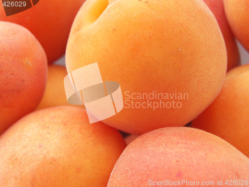 Image of Apricots