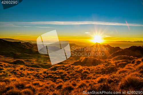 Image of Bright colours of morning