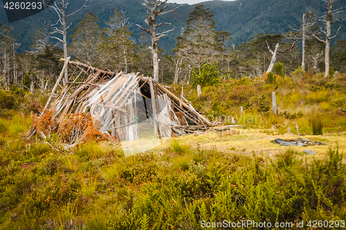 Image of Wooden shelter in wilderness