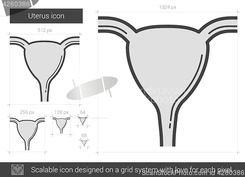 Image of Uterus line icon.