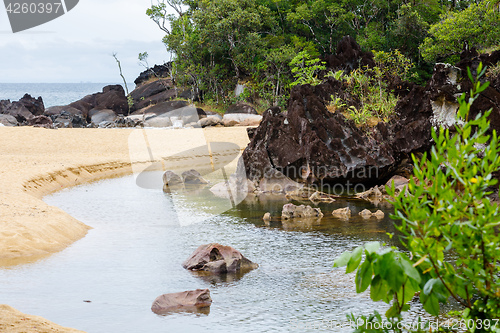 Image of Landscape of Masoala National Park, Madagascar