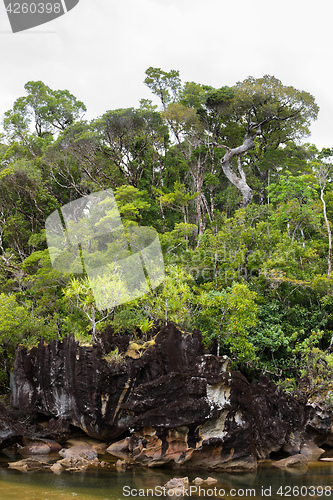 Image of Landscape of Masoala National Park, Madagascar