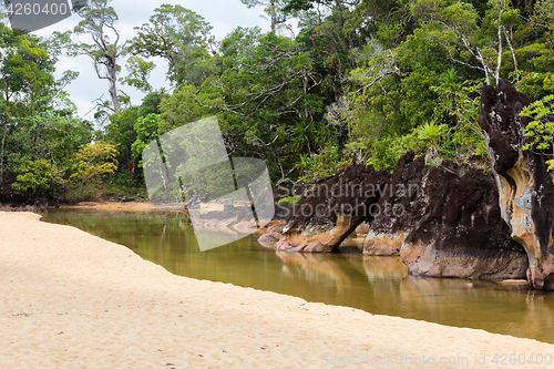 Image of Landscape of Masoala National Park, Madagascar