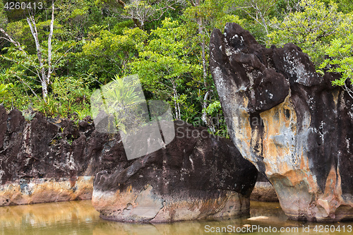 Image of Landscape of Masoala National Park, Madagascar