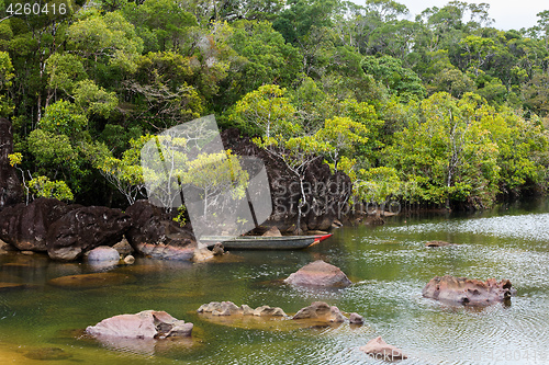 Image of Landscape of Masoala National Park, Madagascar