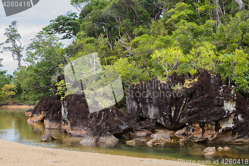 Image of Landscape of Masoala National Park, Madagascar