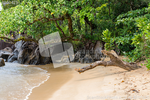 Image of Landscape of Masoala National Park, Madagascar