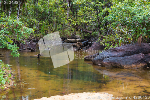 Image of Landscape of Masoala National Park, Madagascar