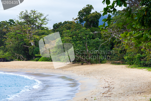 Image of Landscape of Masoala National Park, Madagascar