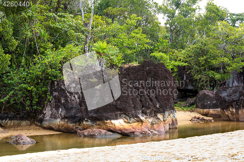 Image of Landscape of Masoala National Park, Madagascar