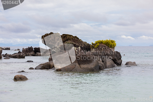 Image of Landscape of Masoala National Park, Madagascar