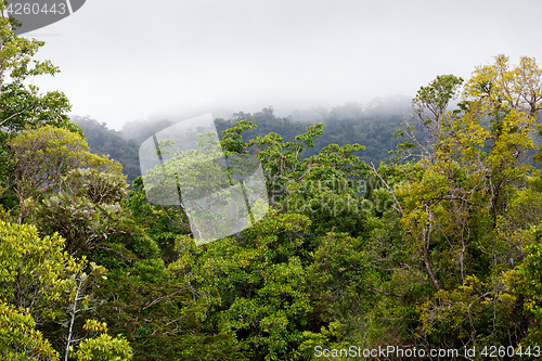 Image of Landscape of Masoala National Park, Madagascar