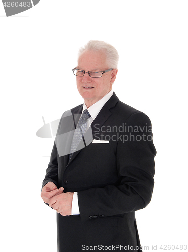 Image of Portrait of handsome senior business man.