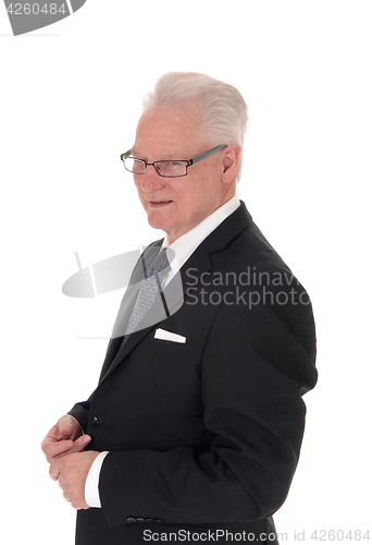 Image of Portrait of handsome senior man.