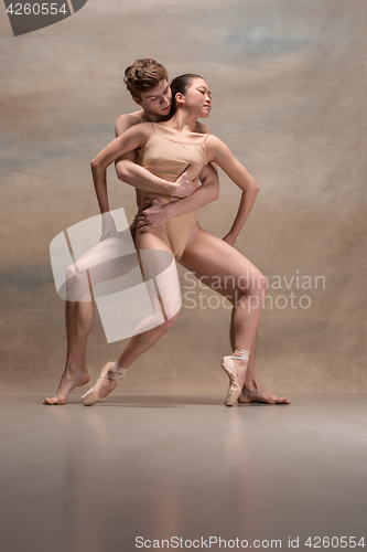 Image of Couple of ballet dancers posing over gray background