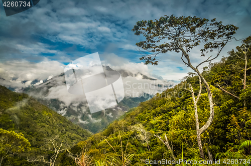 Image of Morning fog in Wamena