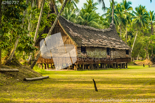 Image of Palms and straw house