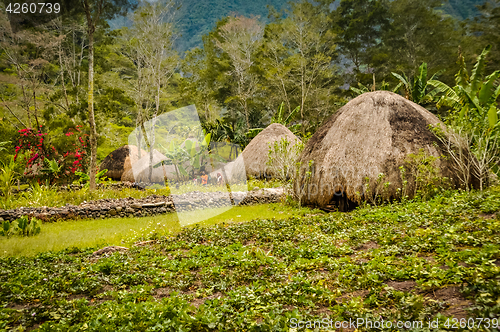 Image of Straw houses with gardens