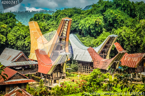 Image of Saddleback roofs in Sulawesi