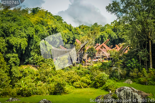 Image of Tongkonans in forest