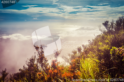 Image of Mountains in morning