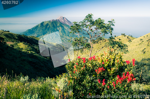 Image of Photo of dormant stratovolcano