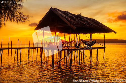 Image of People in hammock